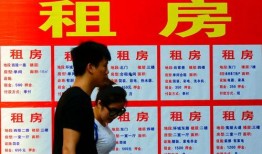 租房新闻爆料案例,新闻爆料案例警示录